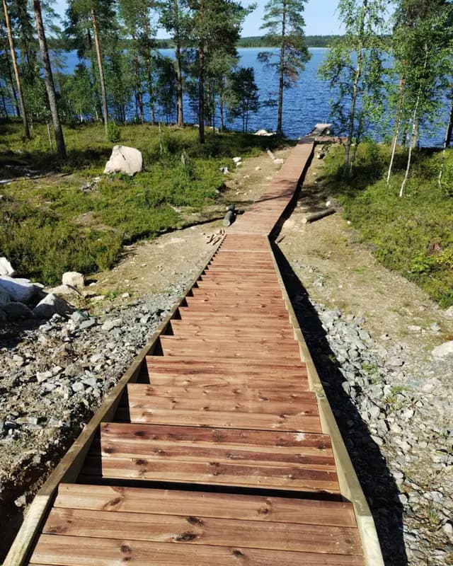 Puiset portaat rinteessä