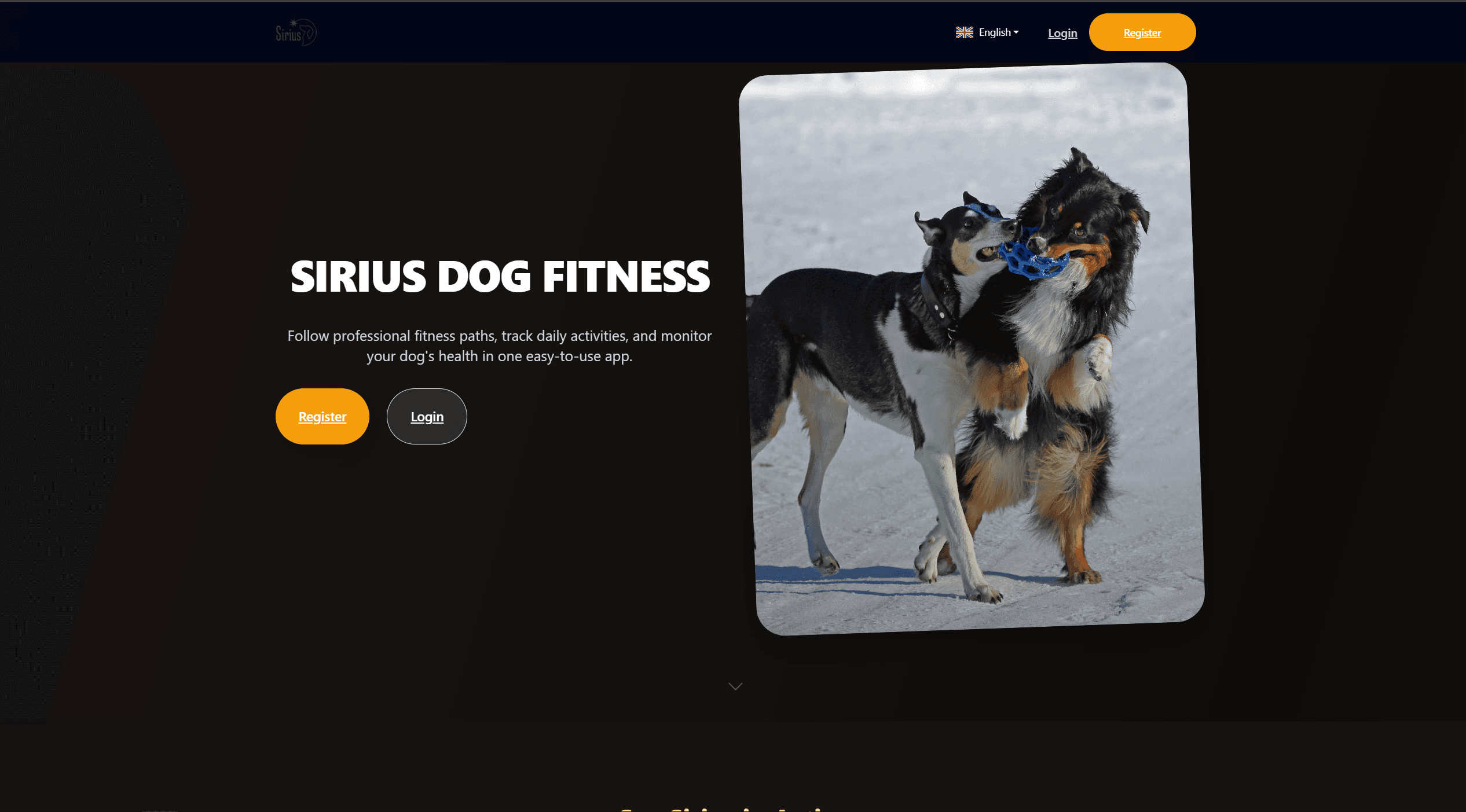 Sirius Dog Fitness verkkosivut